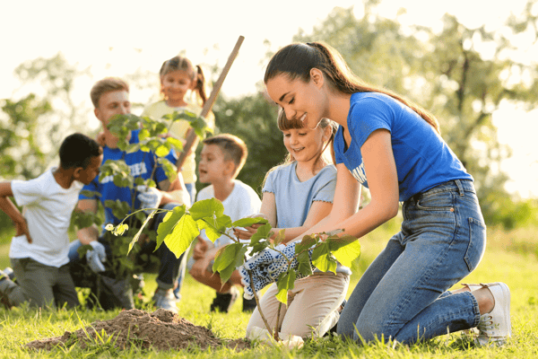 4 Steps to Greater Nonprofit Stewardship
