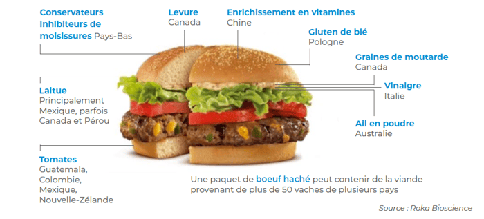 burger-origine-aliments