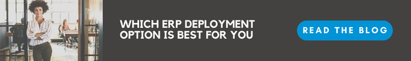 banner - ERP deployment options