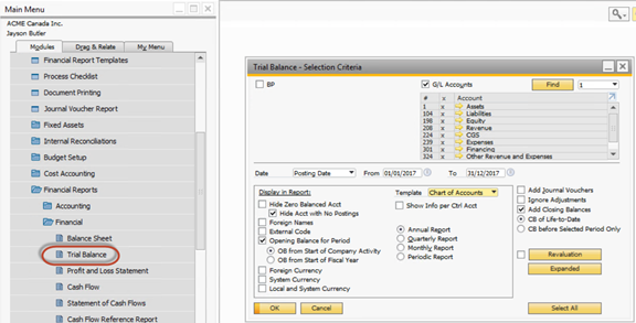 Verifying the Balance in SAP Business One